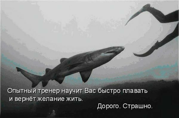 Опытный ренер научИт ас быстро плавать и вернёт желание жить Дорого Страшно