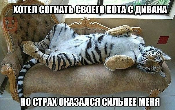 Поппи еогнптьпвоногиотддп дЁЁпнп Ёна стрии пндзппешсщдьнн Мій