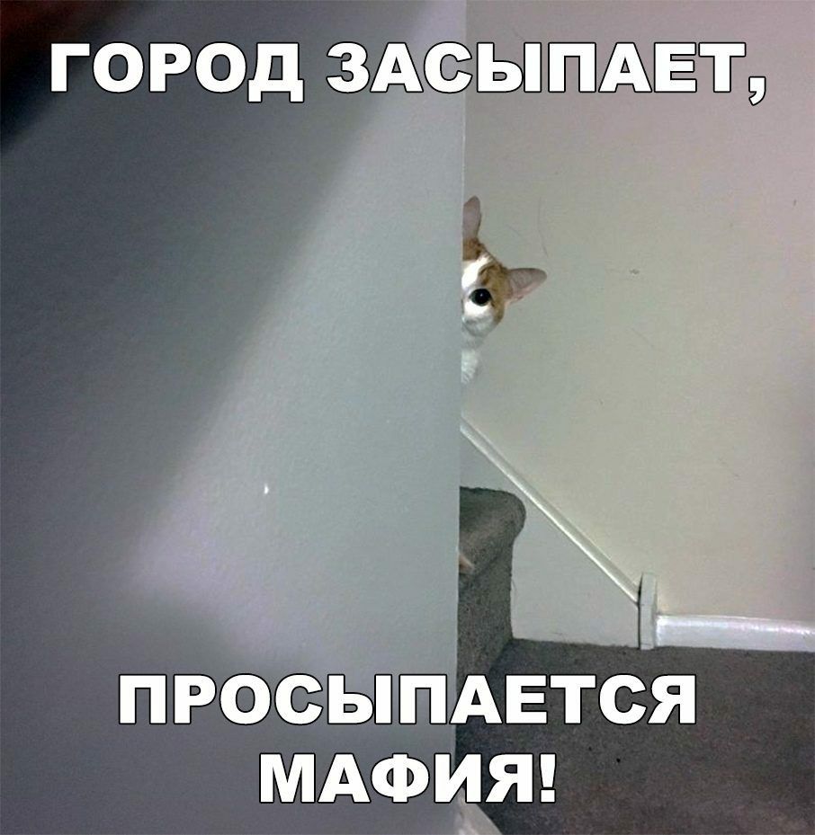 город 3АЫЁ9 ПРОСЫШАЕТСЯ МАФИЯ
