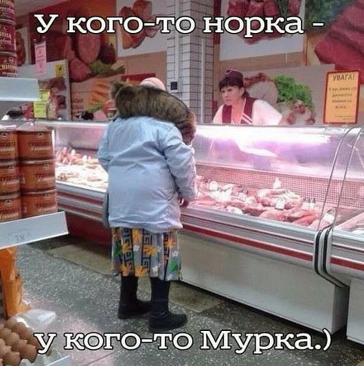 го то М_уркЁЁ СУ