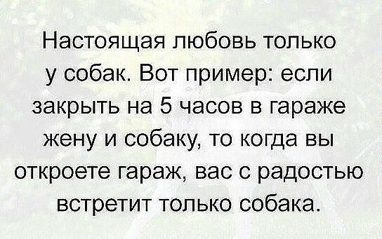 Настоящая любовь только у собак Вот пример еспи закрыть на 5 часов в гараже жену и собаку то когда вы откроете гараж вас с радостью встретит только собака