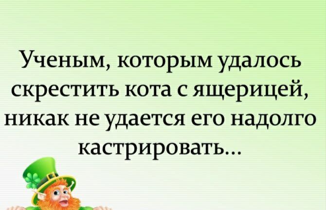 Ученым которым удалось скрестить кота с ящерицей никак не удается его надолго кастрировать