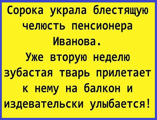 Сорока украла блестящую челюсть пенсионера Иванова Уже вторую неделю эубастая тварь прилетает к нему на балкон и издевательски улыбается