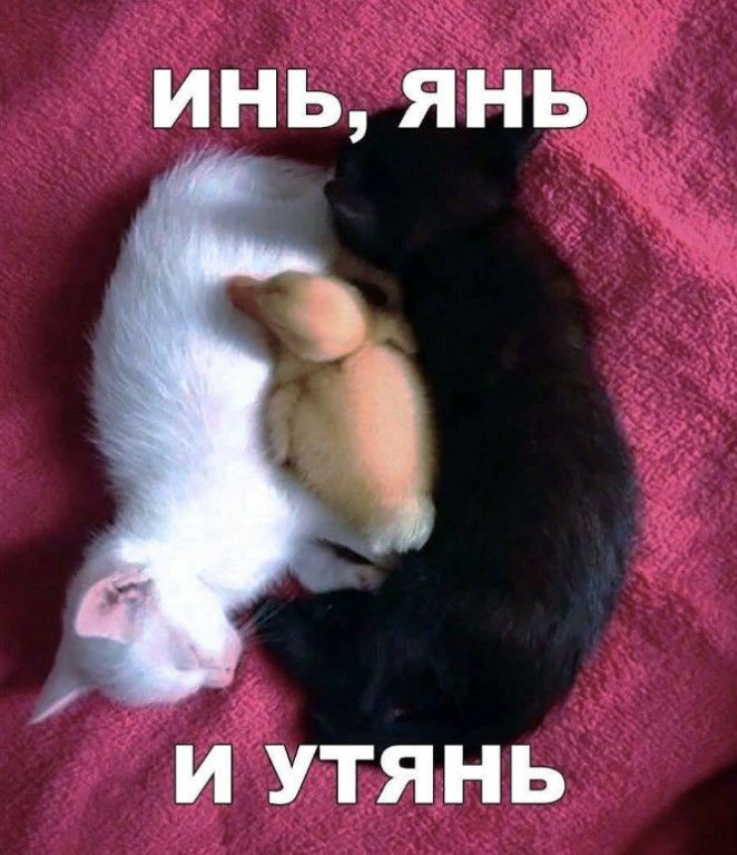 иЦтУтянь