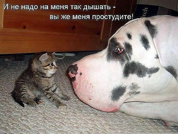 Не ада на меня так дышать вы же меня простудите