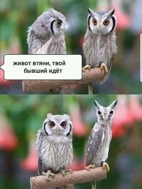 ЖИЕОТ ВТЯНИ ТВОЙ і бывший идёт
