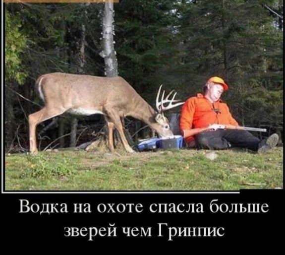 Водка на охоте спасла больше зверей чем Грршгшс