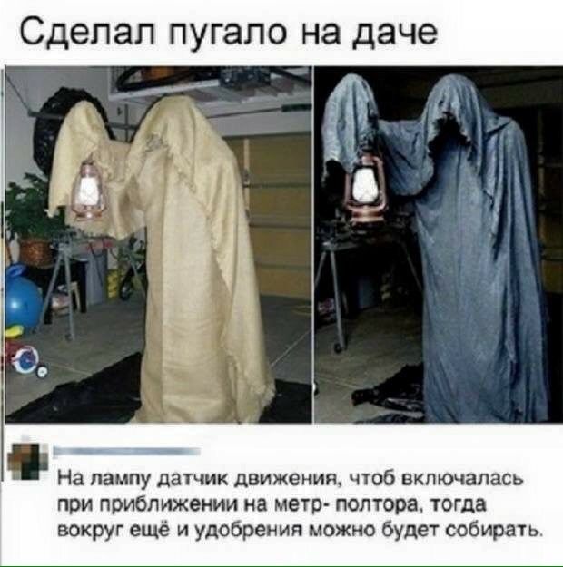 Сделал пугало на даче На лампу датчик движения чюб включалась при приближении на метр полтора тогда вокруг ещё и удобрения можно будет собирать