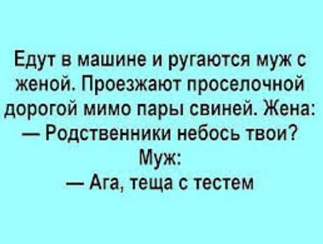 Едут в машине и ругаются муж с женой Проезжают проселочной дорогой мимо пары свиней Жена Родственники небось твои Муж Ага теща с тестем