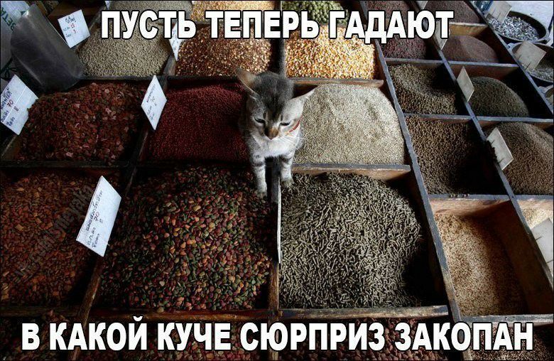 в кдкой КУЧЕДсюрприЗкздЁ о