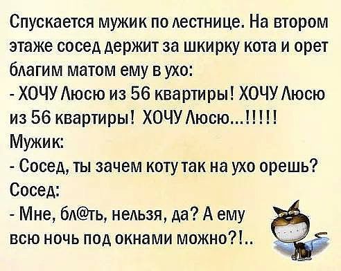 Спускается мужик по лестнице На втором этаже сосед держит за шкирку кота и орет благим матом ему в ухо ХОЧУ Аюсю из 56 квартиры ХОЧУ Аюсю из 56 квартиры ХОЧУ Аюсю Мужи к Сосед ты зачем коту так на ухо орешь Сосед Мне 6Ать неиьзя да А ему всю ночь под окнами можно