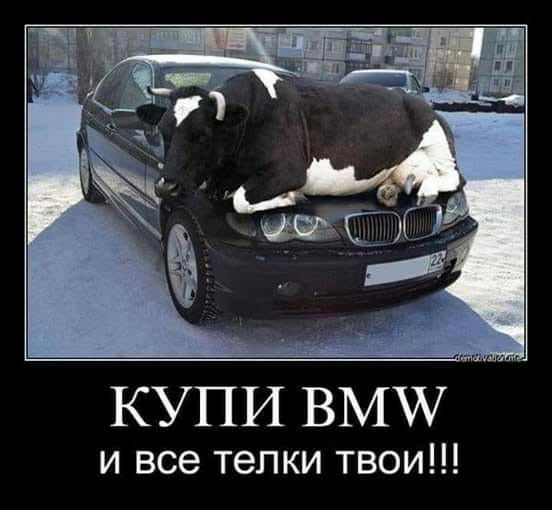 КУПИ ВМЖ и все телки твои