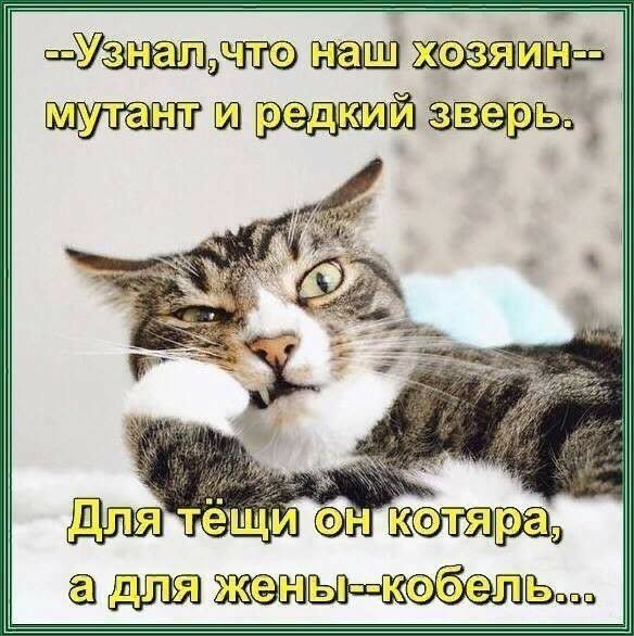 шртщээ ш эщщ икс тив ьншлъ