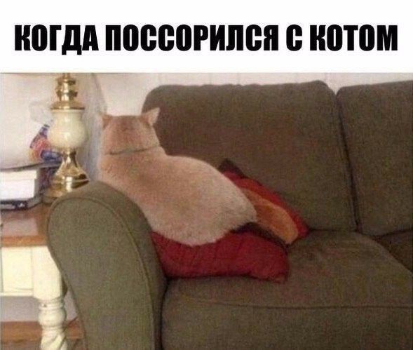 ЮГдА ППВВВРИЛВП В ШШШ Ё
