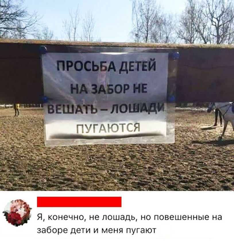 Я конечно не лошадь но повешенные на заборе дети и меня пугают