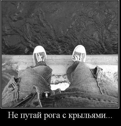Не пугай рога с крыльями