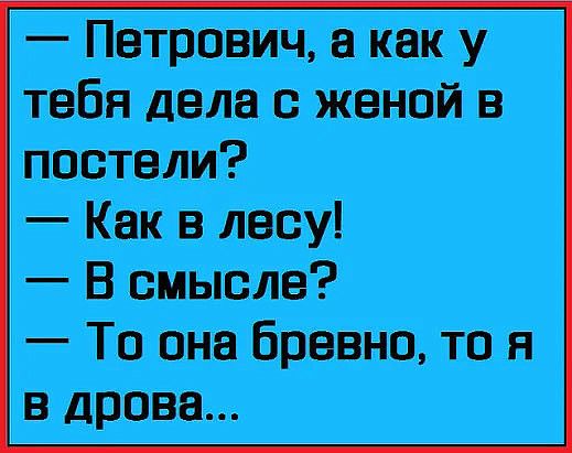Петрович а как у тебя дела с женой в постели Как в лесу В смысле Тп она бревно то я в дрова