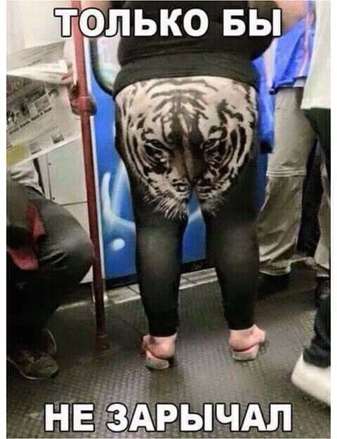 телько вы__