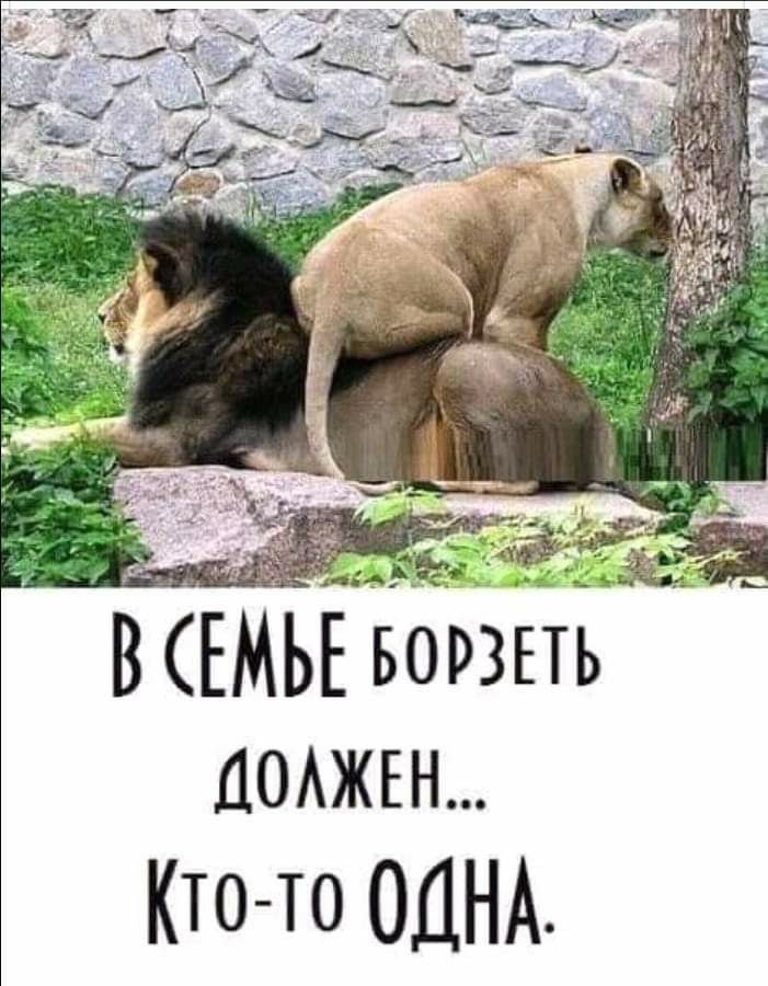 д ВцсЕМЬЕ ворзпь ЦОАЖЕН Ктото ОДНА