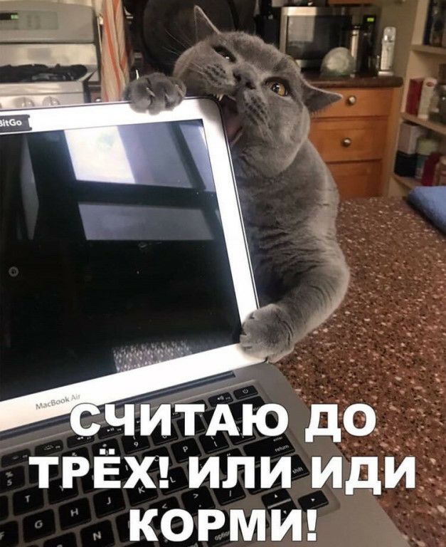 тРЁх иЛи идид КОРМИ
