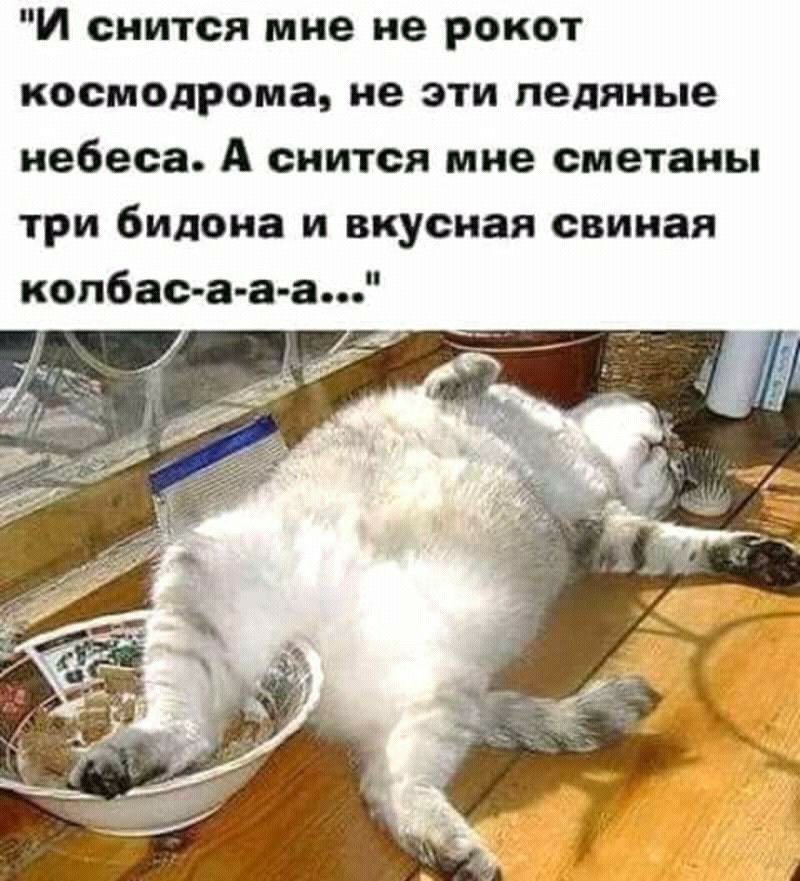 И снится мне не рокот космодрома не эти ледяные небеса А снится мне сметаны три билана и вкусная свиная копбас а а а