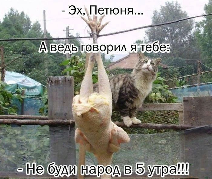 ЭхПетюня мн Г0В0рИА яд ль
