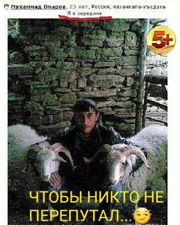 аппнд шипа 1