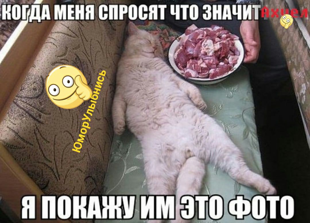 Т 7 я пондЖЩШ ЗТ Фо