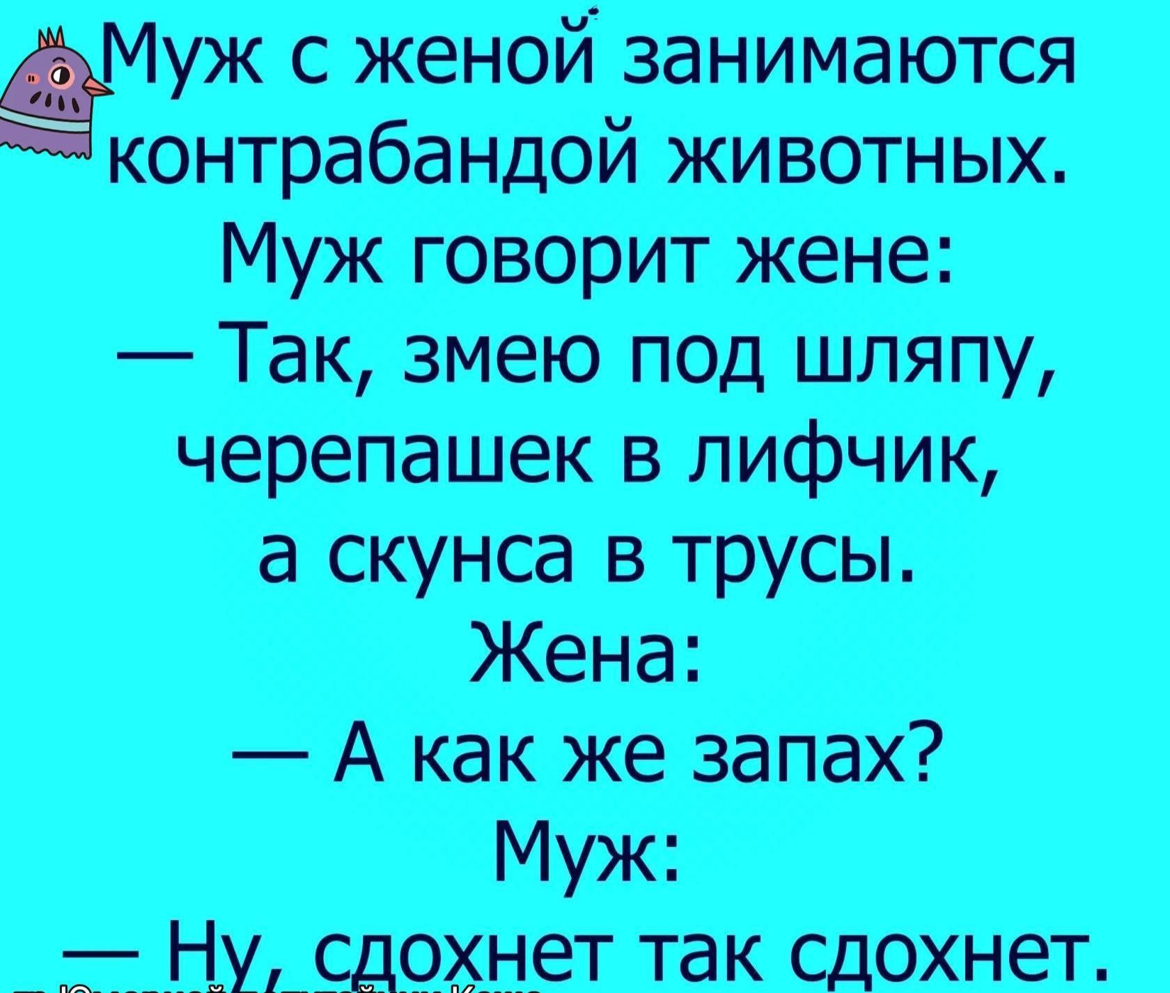 как сказать мужу что я хочу его член фото 92