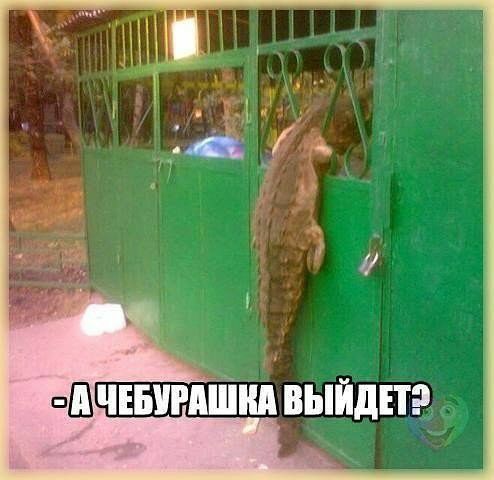 ПШЧЕБПРШЁНП выйди