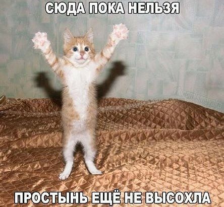 Сюдатоканельзя