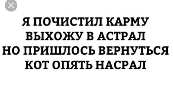 Я ПОЧИСТИЛ КАРМУ ВЫХОЖУ В АСТРАЛ НО ПРИШЛОСЬ ВЕРНУТЬСЯ КОТ ОПЯТЬ НАСРАП