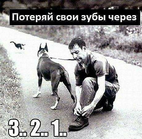 _ Потеряй свои зубы через
