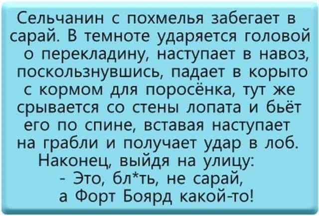 Сельчанин с похмелья забегает в сарай В темноте ударяется головой о перекладину наступает в навоз поскользнувшись падает в корыто с кормом для поросёнка тут же срывается со стены лопата и бьёт его по спине вставая наступает на грабли и получает удар в лоб Наконец выйдя на улицу Это блть не сарай а Форт Боярд какойто