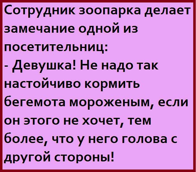 Сотрудник зоопарка делает замечание одной из посетительниц Девушка Не надо так настойчиво кормить бегемота мороженым если он этого не хочет тем более что у него голова с другой стороны