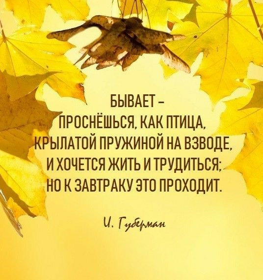 БЫВАЕТ пюснёшьсямкптицд ПАТ0Й пружиной НА ВЗВПДЕ и хочпся жить и трудиться но к ЗАВТРАКУЗТП проходит Гудиш