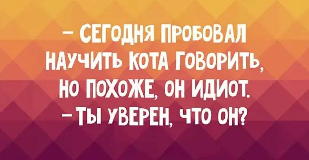 СЕГОДНЯ ПРОБОВАЛ НАУЧИТЪ КОТА ГОВОРИТЬ НО ПОХОЖЕ ОН ИДИОТ Ты УВЕРЕН ЧТО ОН