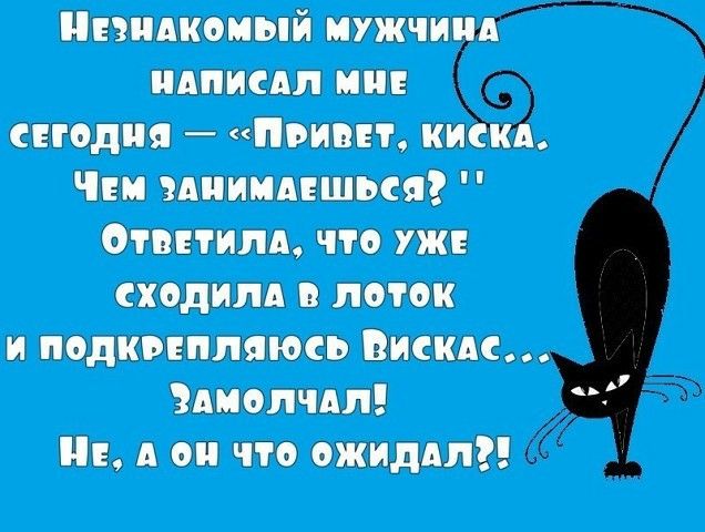 Имп гид ши интим и пищи Ципи ки Чи пищащий шпили тип подними ось Меце Златин нд такииж