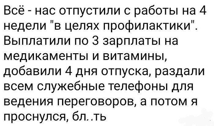 Всё нас отпустили с работы на 4 недели в целях профилактики Выплатили по 3 зарплаты на медикаменты и витамины добавили 4 дня отпуска раздали всем служебные телефоны для ведения переговоров а потом я проснулся бл ть