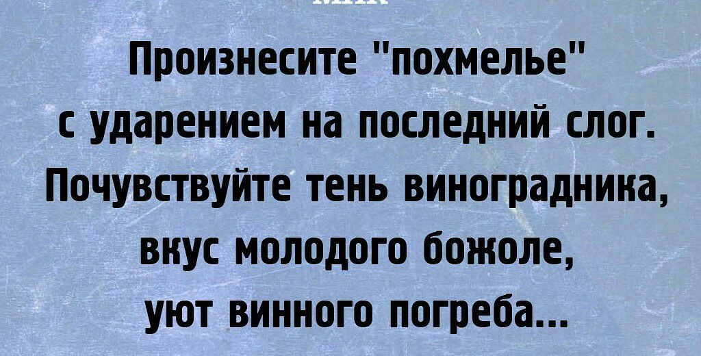 Произнесите похмелье с ударением на последний слог Почувствуйте тень виноградника внус молодого божоле уют винного погреба