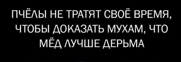 ПЧЁАЫ НЕ ТРАТЯТ СВОЁ ВРЕМЯ ЧТОБЫ ДОКАЗАТЬ МУХАМ ЧТО МЁД АУЧШЕ АЕРЬМА