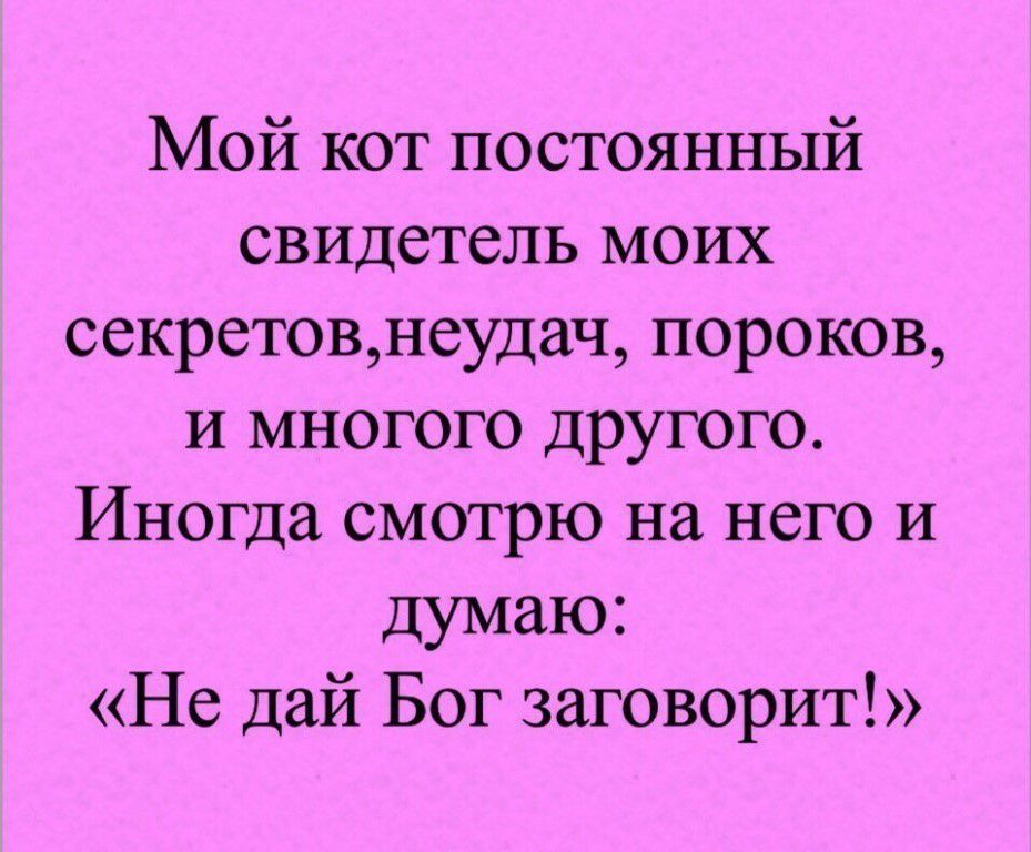 Мой кот постоянный свидетель моих секретовнеудач пороков и многого другого Иногда смотрю на него И думаю Не дай Бог заговорит