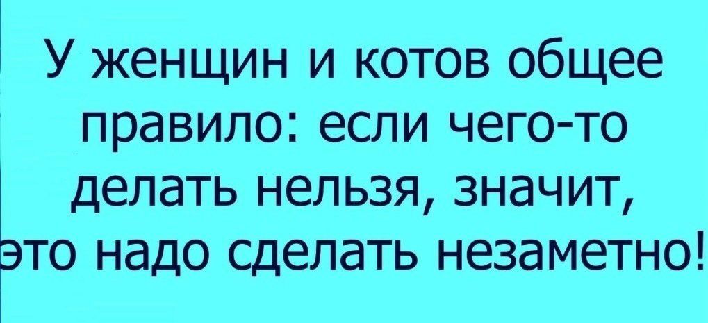 У женщин и котов общее правило если чего то делать нельзя значит то надо сделать незаметно