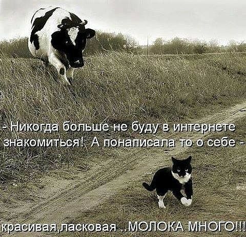 Ласковая , молока многот!
