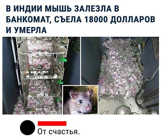 В ИНдИИ МЫШЬ ЗАЛЕЗЛА В БАНКОМАТ СЪЕЛА 18000 дОЛЛАРОВ И УМЕРЛА 3 С От счастья