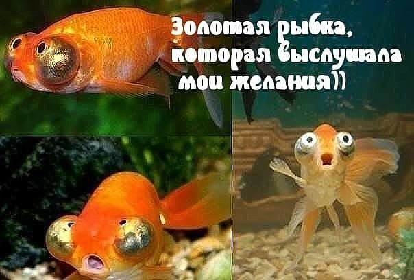 потап Ёыбпа которая сатана мо жедаишт ЖЦТ __