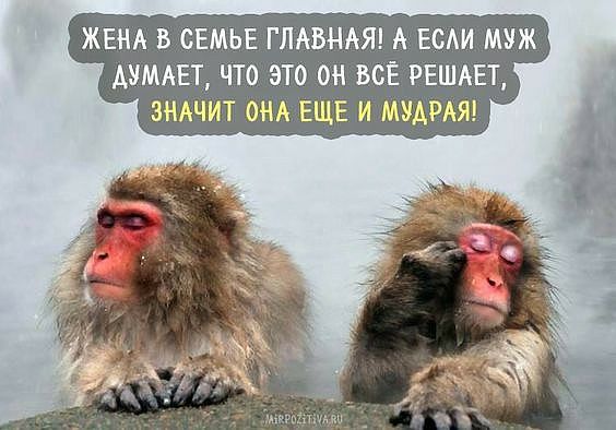 ЖЕНА В СЕМЬЕ ГЛАВНАЯ А ЕСАИ МУЖ АУМАЕТ ЧТО ЭТО ОН ВСЁ РЕШАЕТ