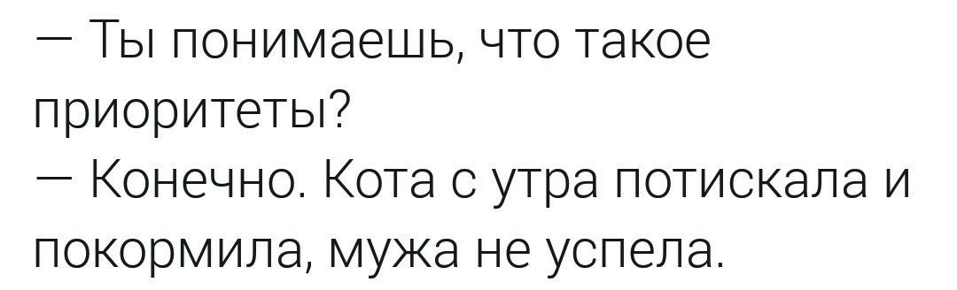 Ты понимаешь что такое приоритеты Конечно Кота с утра потискала и покормила мужа не успела