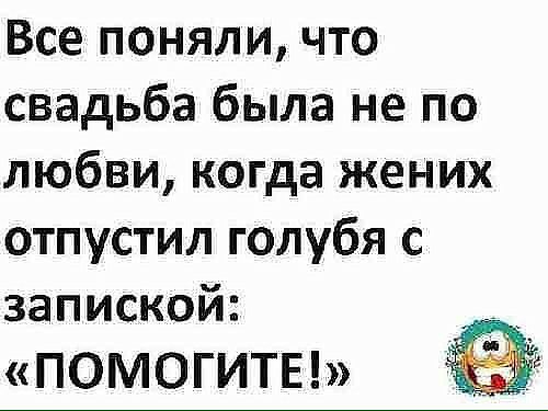 Все поняли что свадьба была не по любви когда жених отпустил голубя с запиской ПОМОГИТЕ