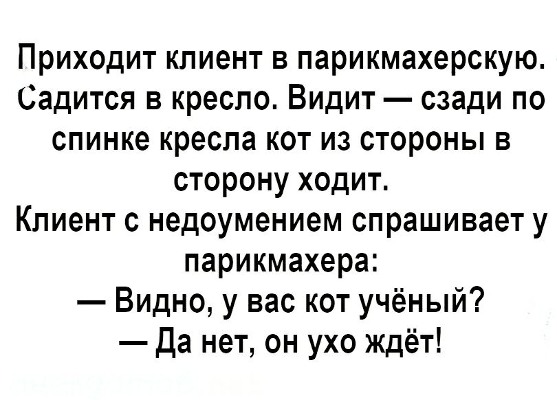 Приходит клиент в парикмахерскую Садится в кресло Видит сзади по спинке креспа кот из стороны в сторону ходит Клиент с недоумением спрашивает у парикмахера Видно у вас кот учёный Да нет он ухо ждёт